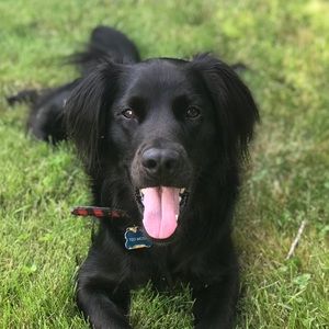 Meet your Posher, Suzanne